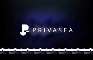 Privasea là gì, dự án AI FHEML đầu tiên